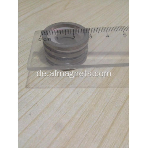 Alnico 5 Ringmagnete